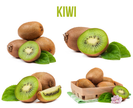kiwi isolated on white backgroundの写真素材