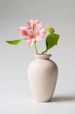 lily in a vase on gray backgroundの写真素材