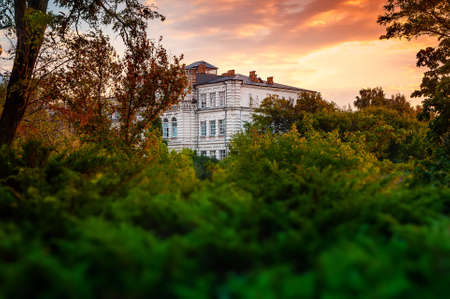 old building in the trees at sunsetの写真素材