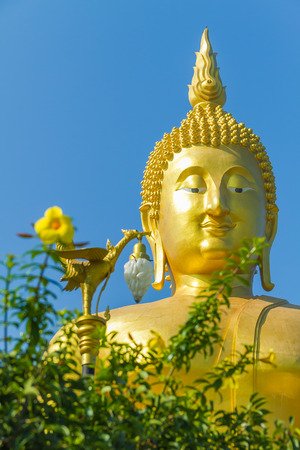 Buddha outdoor are Ang thong province WAT Muang の写真素材