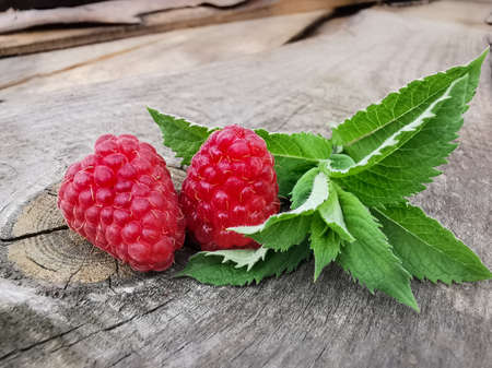 Fresh raspberries with mint leaves lying on an old tree
