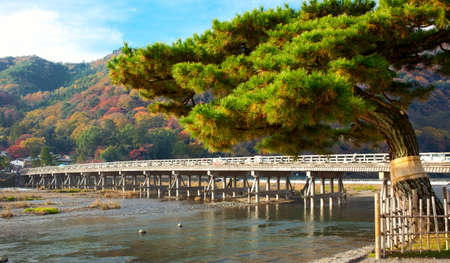 Autumn in Kyoto Japan  Shoot at 2012の写真素材