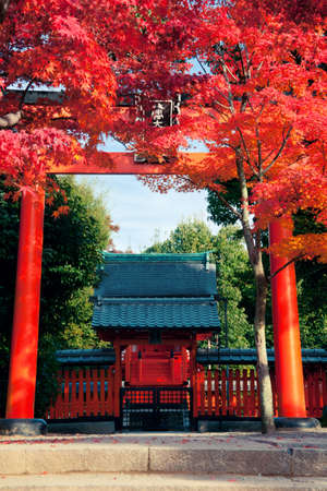 Autumn in Kyoto Japan  Shoot at 2012の写真素材