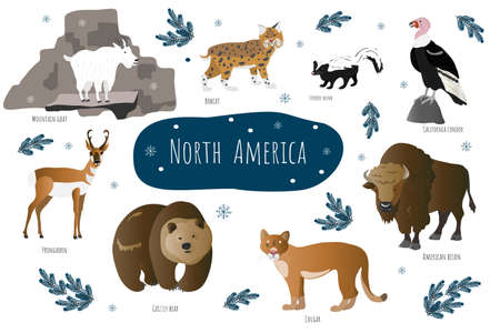 Vector collection with north american animals. Illustration with cute animals for children. Mountain goat, bobcat, pronghorn, grizzly bear, cougar and american bison.のイラスト素材