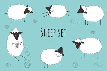 Vector set with sheeps in different pose on a blue background.のイラスト素材