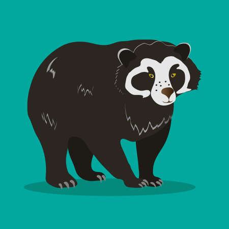 Spectacled bear on a green background. Animals of South America.のイラスト素材