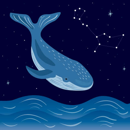 Night sea with whale and starry sky. Whale constellation.のイラスト素材