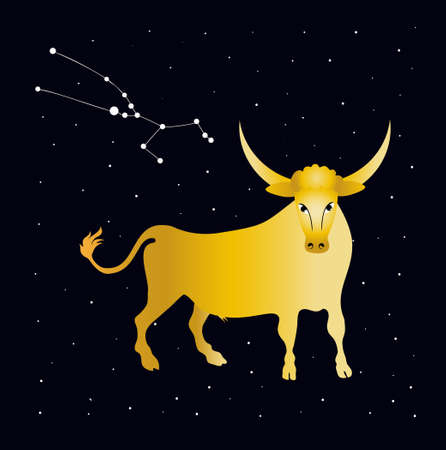 Golden bull and starry sky. Constellation taurus. Zodiac.のイラスト素材