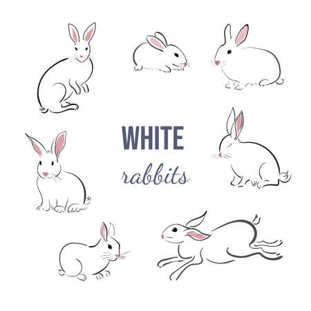 Set of white rabbits in japanese style on a white background. Bunnies in different poses in simple style. Animal sketch.のイラスト素材