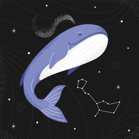 Blue whale flying in the night starry sky. Cetus constellation.のイラスト素材