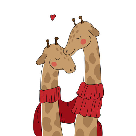 Two cute giraffes in love in one scarf. Giraffes in hand drawn style isolated on a white background. Valentines Dayのイラスト素材