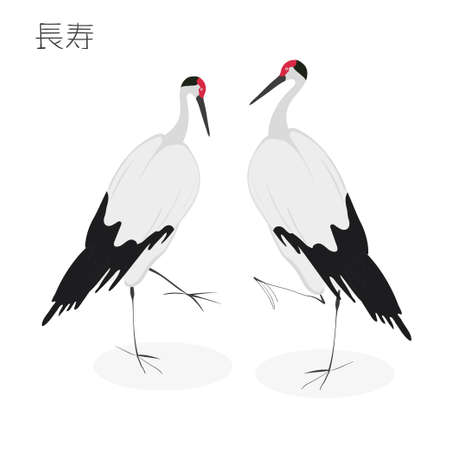 Two Japanese cranes dancing isolated on a white background. Vector illustration in hand drawn style. Translation of hieroglyphs - longevity.のイラスト素材