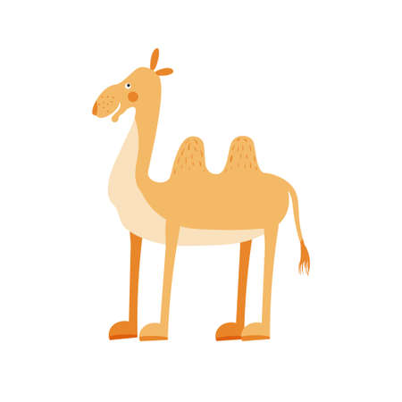 Cute camel in simple hand drawn style. Camel isolated on a white background.のイラスト素材