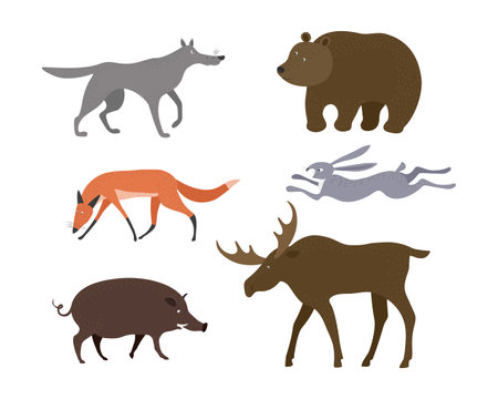 Vector set with forest animals in hand drawn style. Funny animals isolated on a white background. Moose, hare, boar, bear, wolf and fox. Vector illustrationのイラスト素材