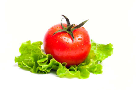 Tomato and salad on the white backgroundの写真素材