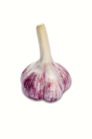 Young garlic isolated on whiteの写真素材