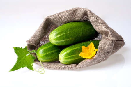 Cucumber isolated on white backgroundの写真素材