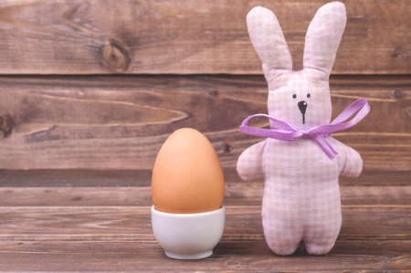 Rabbit (bunny) and Easter Egg