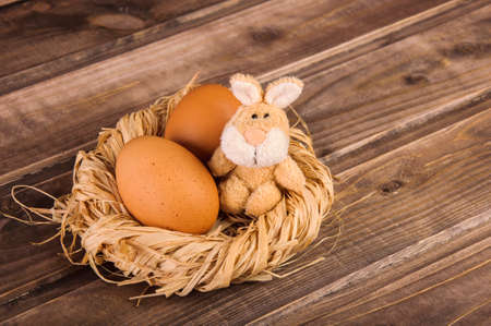 Rabbit (bunny) and Easter Eggの写真素材