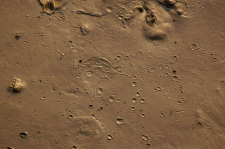 Mud with cratersの写真素材