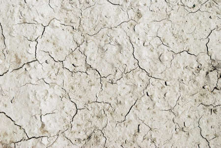 Arid mudの写真素材