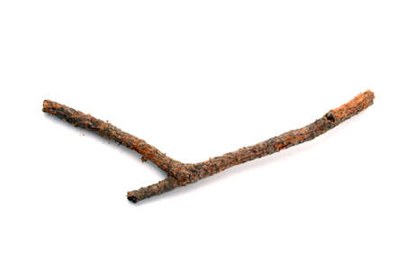 Knag of pine