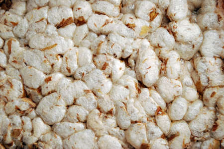 White popcornの写真素材