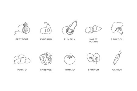 Vegetables. A set of vegetables on a white background. Vetkornaya illustration. Linear art. Broccoli, avocado, potatoes, carrots, spinach, pumpkin, tomato, cabbage, sweet potato, beetroot.のイラスト素材