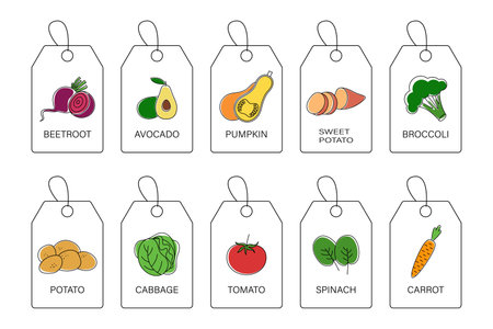 Vegetables. A set of labels with the image of vegetables. Vegetable cards on a white background. Stickers for packaging with grains. Vetkornaya illustration. Linear art.のイラスト素材