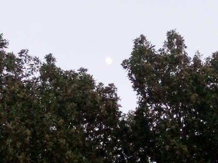 Moon in Day light - Elgounaのeditorial素材