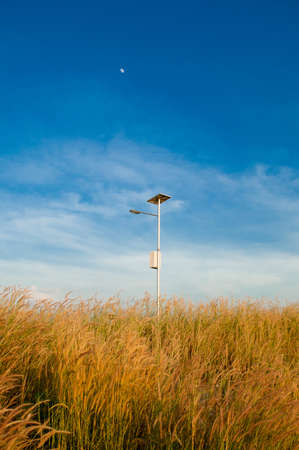 Electricity post and grassの写真素材