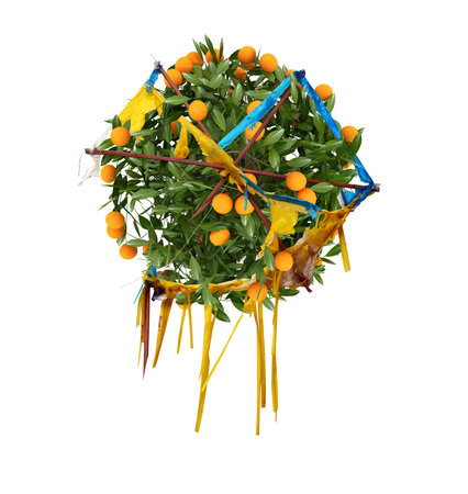 Orange tree inside the kite. Photo manipulating orange tree with kite. Fruit tree blooming in kite.の写真素材