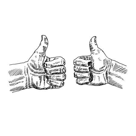 right and left thumbs up. white background, pencil stroke. Retro vintage sketch vector illustration. Engraving style. black isolated on white background. vector draw graphic design illustration sketch.のイラスト素材