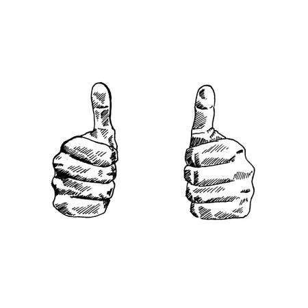 two thumbs up Retro vintage sketch vector illustration. Engraving style. black isolated on white background. vector draw graphic design illustration sketch.のイラスト素材