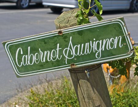 A sign is posted to identify the destiny of the grapes produced on the old vines.の写真素材