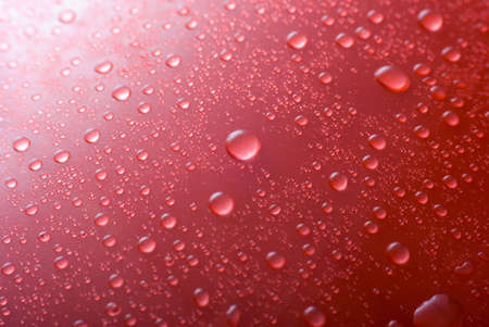 Water Dropsの写真素材