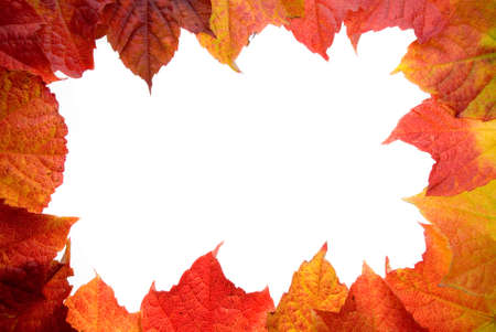 Leafs Frame