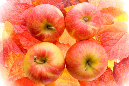 Apples Background Textureの写真素材
