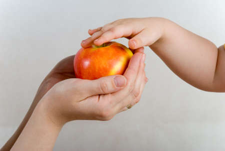 Red apple in handsの写真素材