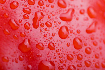 Red water drops background textureの写真素材