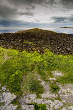 Coast, seaweed and sky. This is a Kimmeridge Bay, Dorset, England, United Kingdomの写真素材