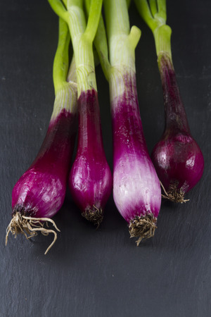Close up of root end of four purple and green scallionsの写真素材