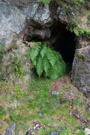 Entrance to Hafna Mine, Hafna Lead Mine, Gwydir Forest, Snowdonia National Park, Conwy, Wales, United Kingdom.の写真素材
