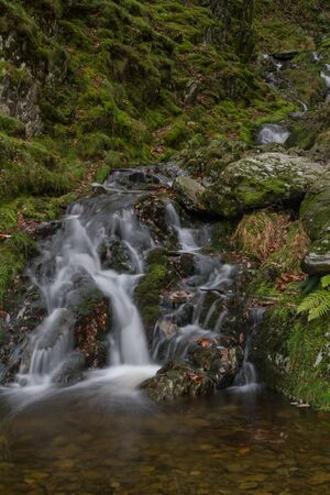 Stream falling through moss and trees, Autumn Fall. United Kingdom, Europe.の写真素材