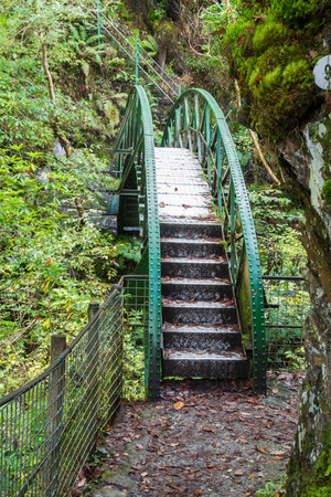 Possibly pre-fabricated metal footbridge in woodland.の写真素材
