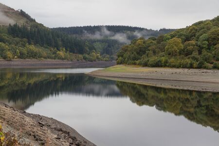 Conifer Trees on hill, reflected in water. United Kingdom.の写真素材