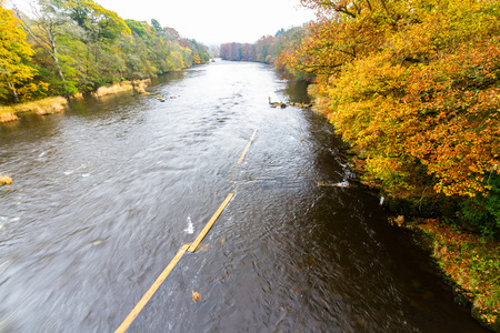 River Wye at Llanstephan in October autumn fall, with coloured trees.の写真素材