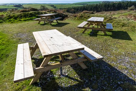 Sunlit view of picnic tables on grass.の写真素材