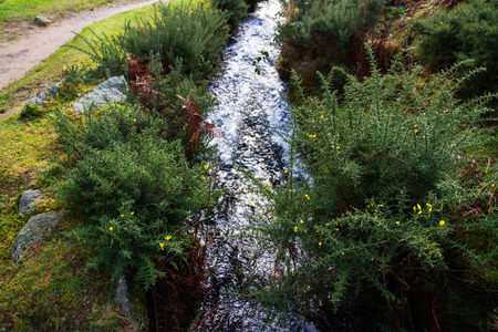 Water channel, old structure. Devonport Leat, Dartmoor National Park, Devon, England, United Kingdom.の写真素材