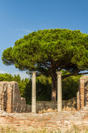 Roman pillars at Ostia Antica, roman city. Stone pine or Pinus pinea tree in background, Rome in Italy.のeditorial素材